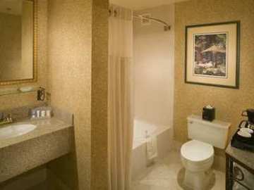 Hotel Hilton Garden Atlanta-buckhead Atlanta