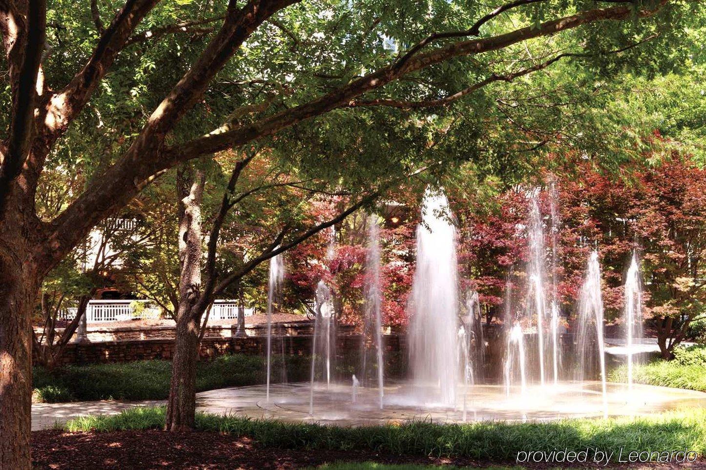 Hilton Garden Atlanta-buckhead Hotel Atlanta