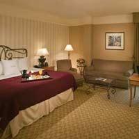 Hotel Hilton Garden Atlanta-buckhead